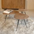 Brix Loua Coffee Table - Triangle - Set of 3 - Natural - Mango Wood