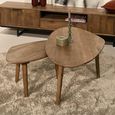 Brix Xavier Coffee Table - Abstract - Set of 2 - Natural - Mango Wood