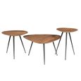Brix Loua Coffee Table - Triangle - Set of 3 - Natural - Mango Wood
