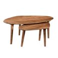 Brix Xavier Coffee Table - Abstract - Set of 2 - Natural - Mango Wood