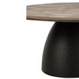 Coffee Table - Abstract - Pedestal Bases - Dark Brown and Black - Mango Wood