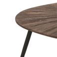 Ray Coffee Table - Set of 2 - Abstract - Starburst - Dark Brown and Black - Recycled Wood