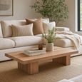Coffee Table - Low - Natural - Mango Wood