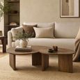 Coffee Table - Set of 2 - Abstract - Natural - Mango Wood