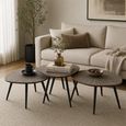 Ray Coffee Table - Set of 3 - Abstract - Starburst - Dark Brown and Black - Recycled Wood