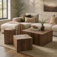 Ray Cube Coffee Table - Set of 3 - Square - Starburst - Dark Brown - Recycled Wood
