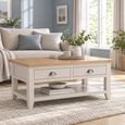 Richmond Grey 2 Drawer Coffee Table thumbnail