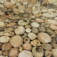 Driftwood Glass Top Round Coffee Table thumbnail 4