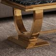 Glacier Coffee Table - Black Marble & Gold