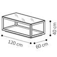 Elite Italian Coffee Table - Silver Birch