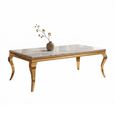 Louis Coffee Table - Grey Marble & Gold