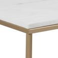 Alisma Coffee Table - White Marble Effect and Gold