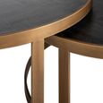 Blackbone Black and Brass 2 Tier Coffee Tables