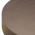 Bogor Set of 2 Bronze Coffee Tables