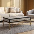 Cadio Coffee Table - 2 Drawer - Grey Faux Shagreen with Gold Legs