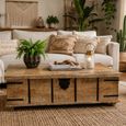 Mango Wood 1 Door Large Trunk Coffee Table thumbnail