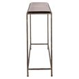 Villano Console Table - Bronze - Glass and Metal