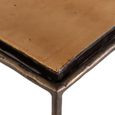 Villano Console Table - Bronze - Glass and Metal