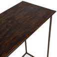Terni Industrial Console Table - Brown and Black - Solid Wood and Metal