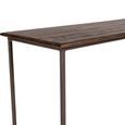 Terni Industrial Console Table - Brown and Black - Solid Wood and Metal