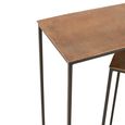 Industrial Console Table - 2 Tier - Rust and Black - Aluminium