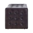 Buffalo Bench - Brown - Leather