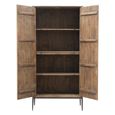 Tacca Carved Cabinet - 2 Door - Brown - Distressed Wood and Metal