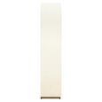 Tivoli Fluted White Ceramic 2 Door Arched Hall Cabinet with Gold Trim thumbnail 3