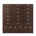Bade Hall Cabinet - Multi Drawer - Industrial Style - Rust Brown Metal