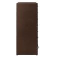 Bade Hall Cabinet - Multi Drawer - Industrial Style - Rust Brown Metal