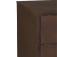 Bade Hall Cabinet - Multi Drawer - Industrial Style - Rust Brown Metal