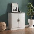 Camden Hall Cabinet - 2 Door - White Gloss