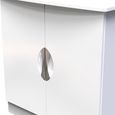 Camden Hall Cabinet - 2 Door - White Gloss