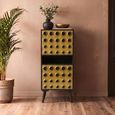 Arti Tall Cabinet - 2 Door - Black - Mango Wood