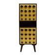 Arti Tall Cabinet - 2 Door - Black - Mango Wood