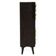 Arti Tall Cabinet - 2 Door - Black - Mango Wood