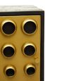 Arti Tall Cabinet - 2 Door - Black - Mango Wood