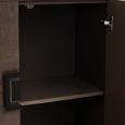Dimaro Hall Cabinet - 2 Door - Elm Wood