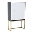 Dumas Hall Cabinet - 2 Door - Black and White