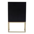 Dumas Hall Cabinet - 2 Door - Black and White