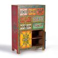 Clearance - Wauzeka Hall Cabinet - Multicolor - Mango Wood - Painted - 2 Door - FSS17385