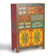 Clearance - Wauzeka Hall Cabinet - Multicolor - Mango Wood - Painted - 2 Door - FSS17385