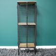 Industrial Cabinet - 2 Door - Black - Mango Wood and Metal