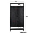 Kala Storage Cabinet - 2 Door - Black - Mango Wood