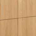 Darwin Oak Hall Cabinet - 2 Door - Natural