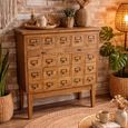 Apothecary 1 Door Cabinet Multi Drawer Wooden thumbnail