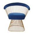 Anzio Chair - Navy Blue Velvet Fabric with Brushed Gold Base