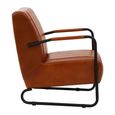 Buffalo Lounge Chair - Tan - Leather with Metal Legs