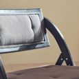Cebu Folding Chair - Grey Wash - Padded - Black Elm Wood