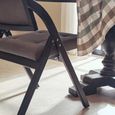 Cebu Folding Chair - Grey Wash - Padded - Black Elm Wood